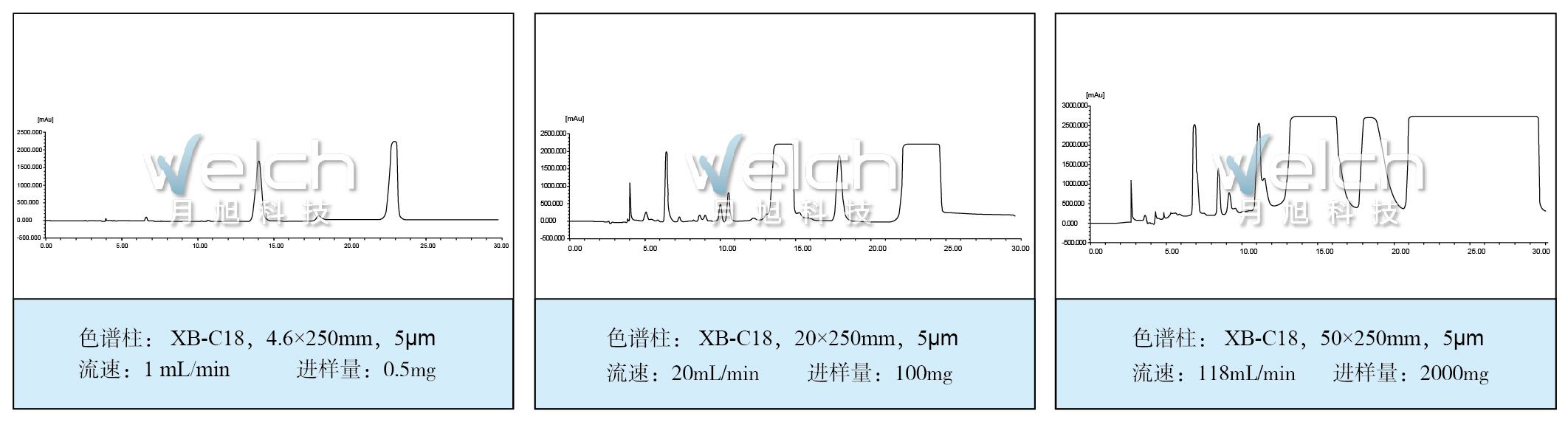 表格_畫闆 7.jpg